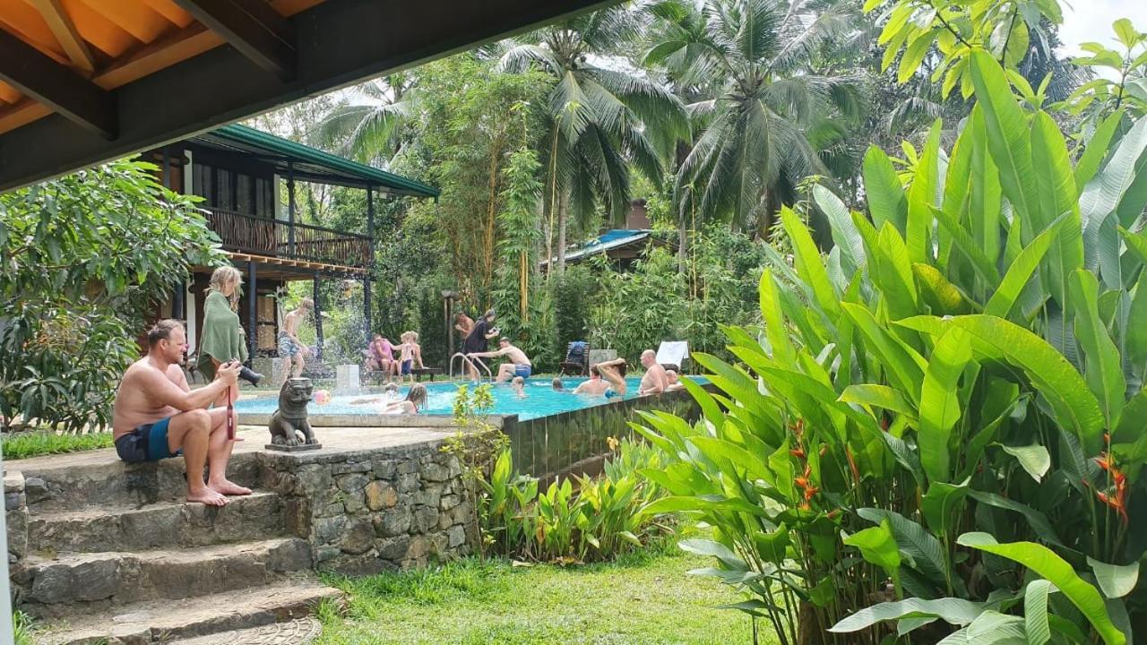 Explore Sinharaja Rain Forest Tour Camp Dombagoda Екстер'єр фото