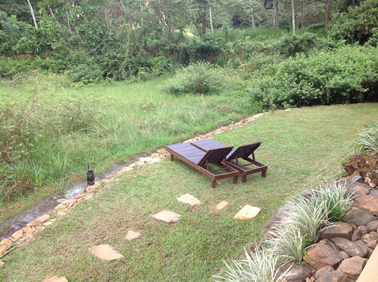 Explore Sinharaja Rain Forest Tour Camp Dombagoda Екстер'єр фото