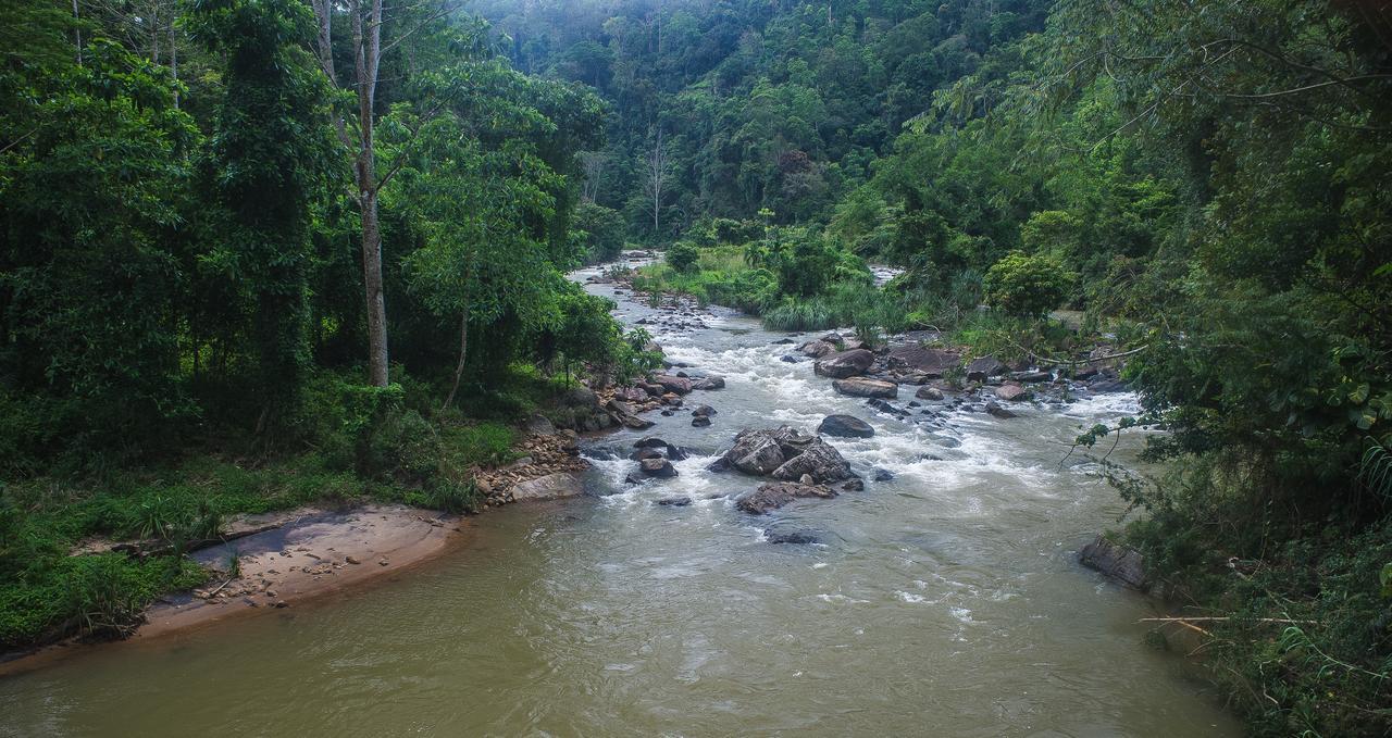 Explore Sinharaja Rain Forest Tour Camp Dombagoda Екстер'єр фото