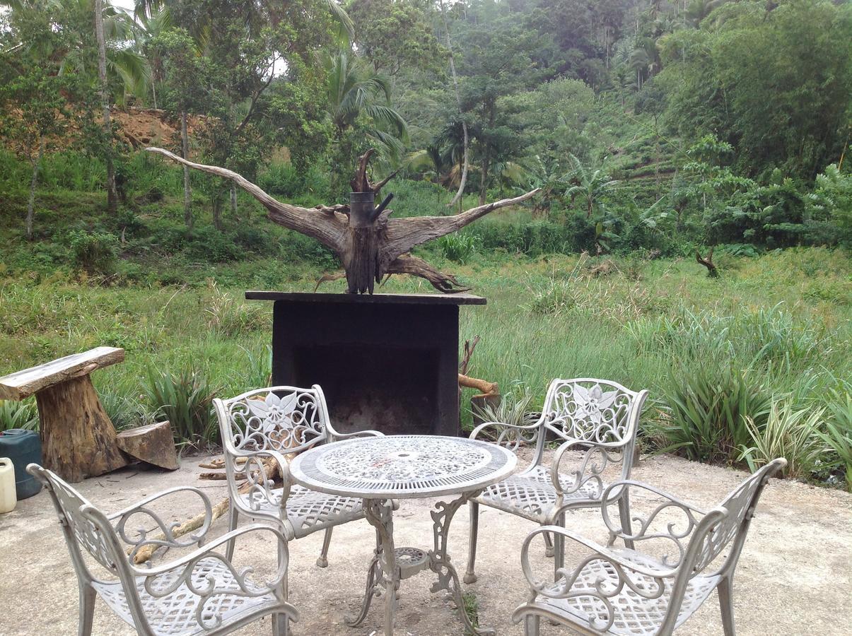 Explore Sinharaja Rain Forest Tour Camp Dombagoda Екстер'єр фото