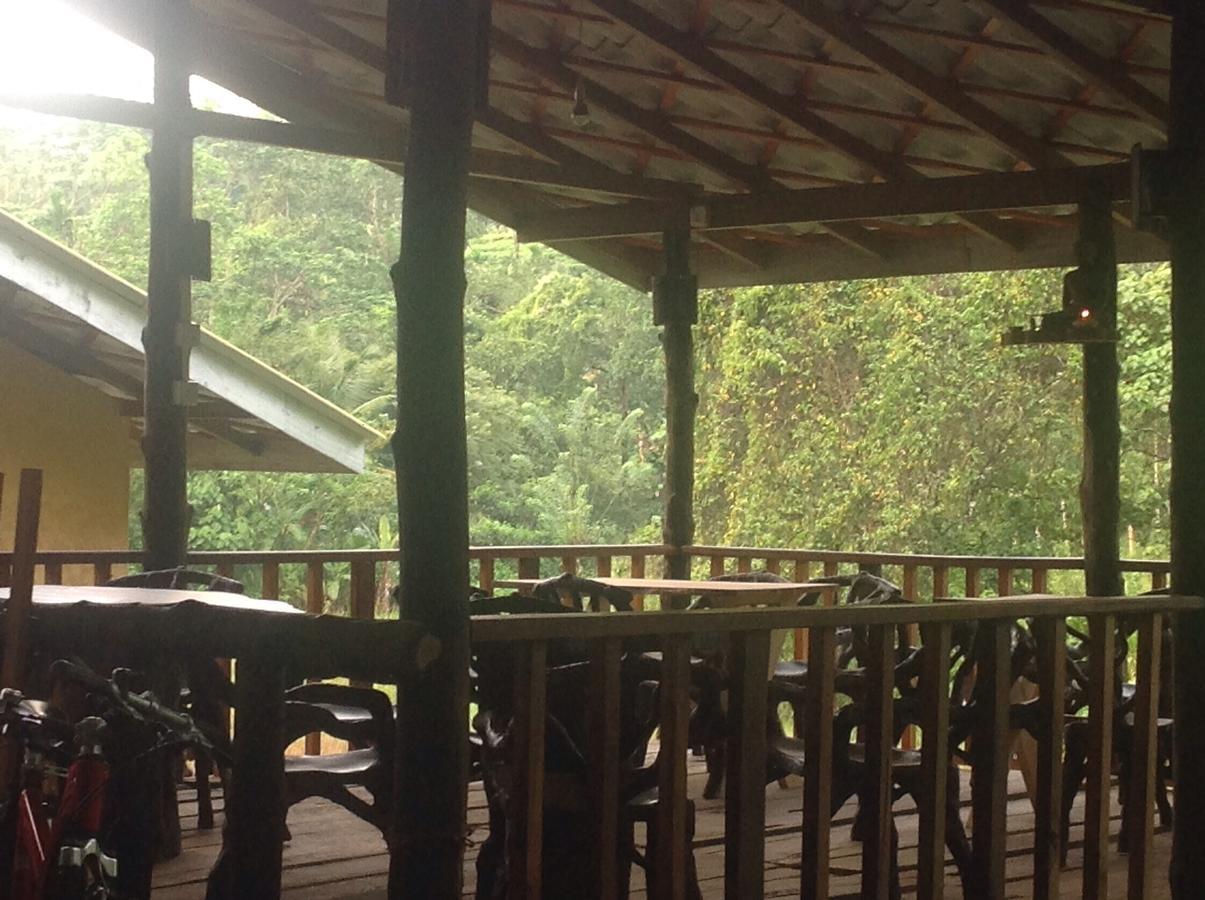 Explore Sinharaja Rain Forest Tour Camp Dombagoda Екстер'єр фото