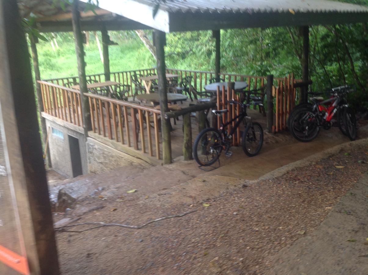 Explore Sinharaja Rain Forest Tour Camp Dombagoda Екстер'єр фото