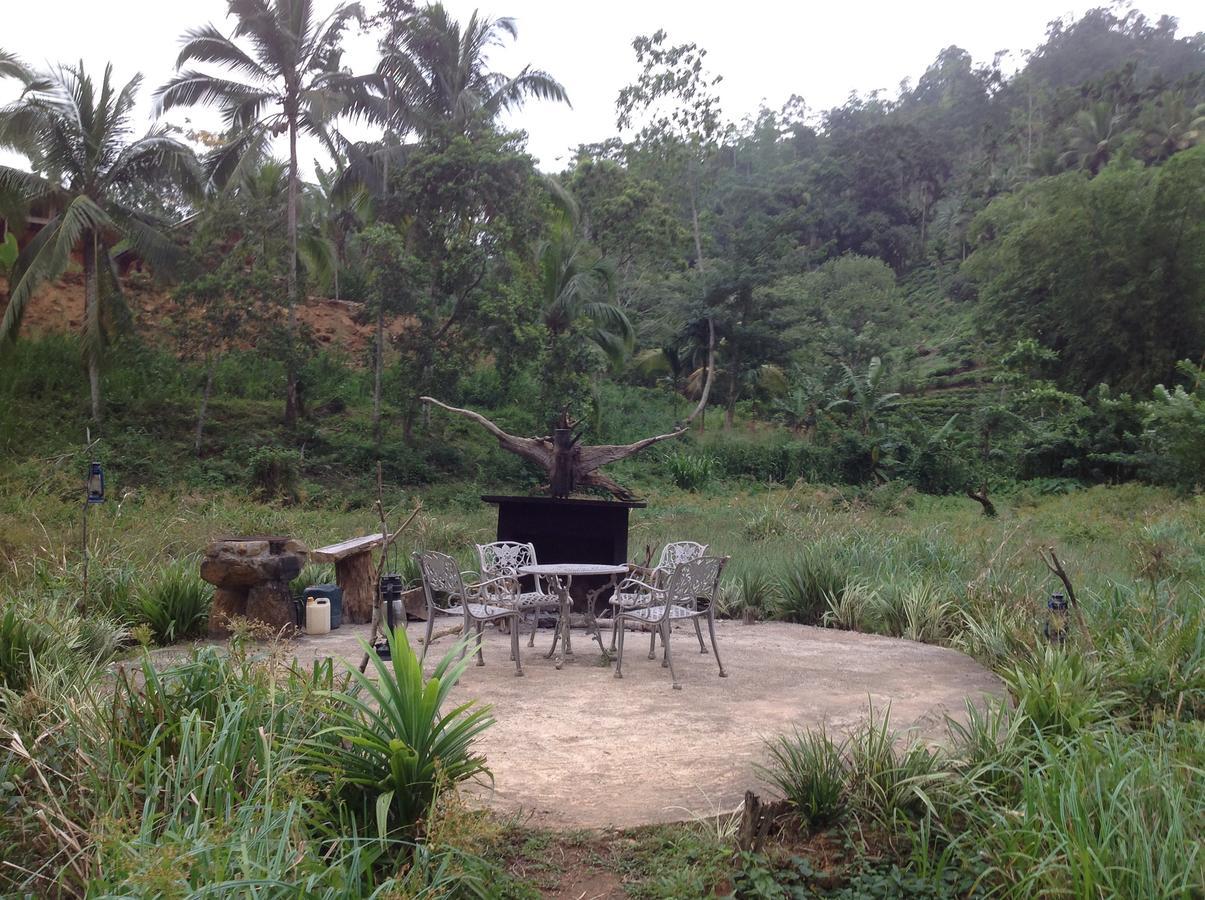 Explore Sinharaja Rain Forest Tour Camp Dombagoda Екстер'єр фото