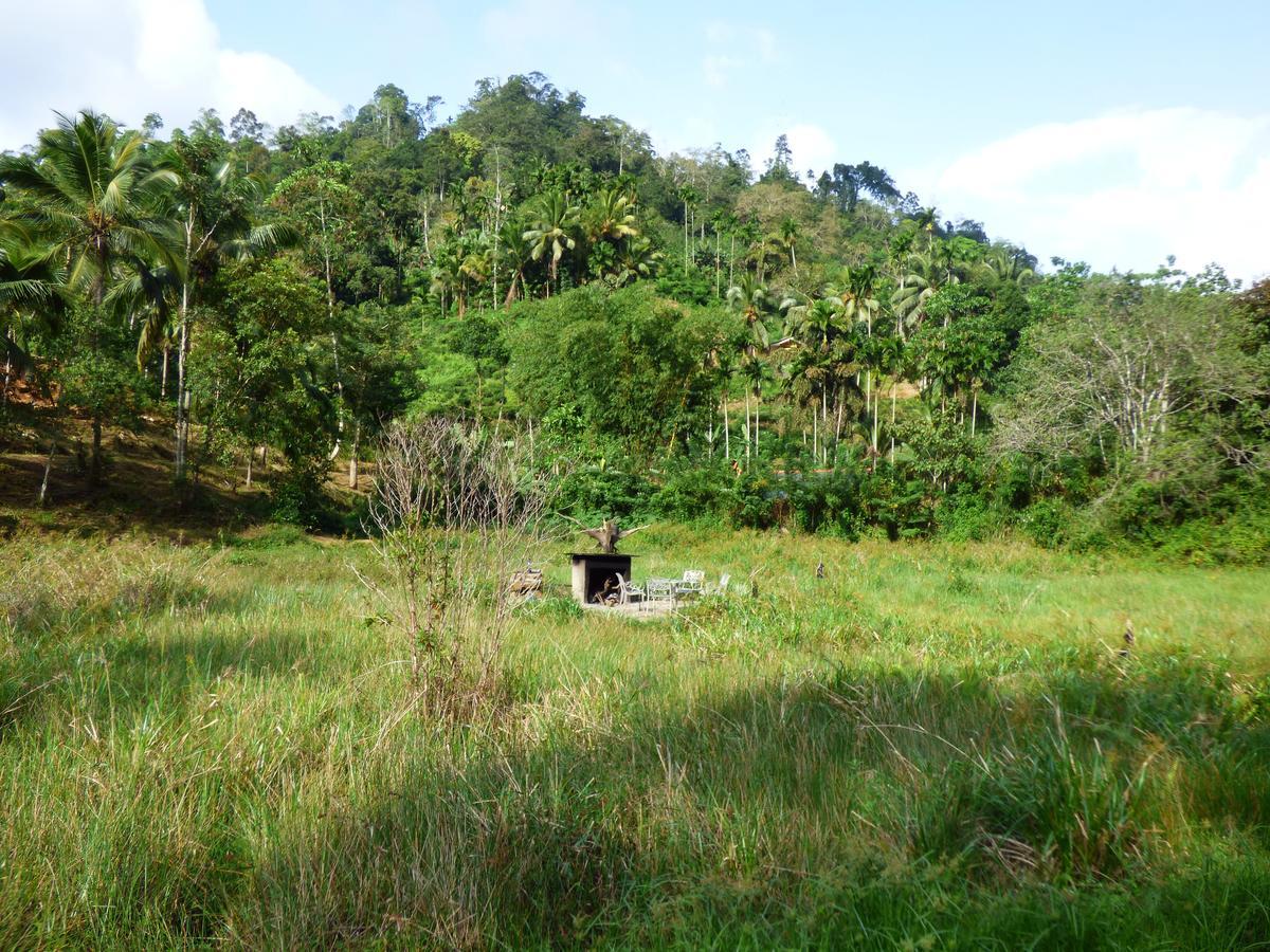 Explore Sinharaja Rain Forest Tour Camp Dombagoda Екстер'єр фото