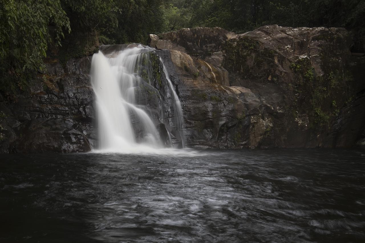 Explore Sinharaja Rain Forest Tour Camp Dombagoda Екстер'єр фото