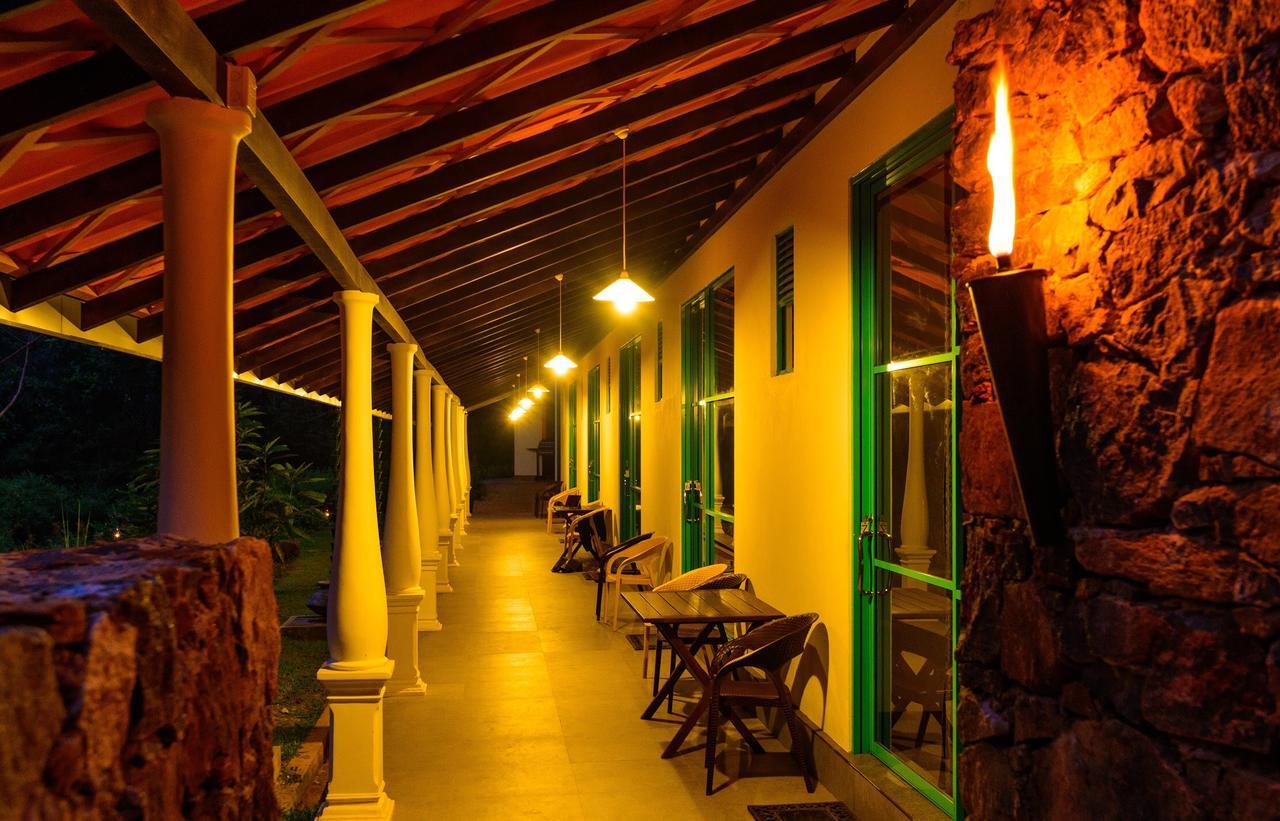 Explore Sinharaja Rain Forest Tour Camp Dombagoda Екстер'єр фото