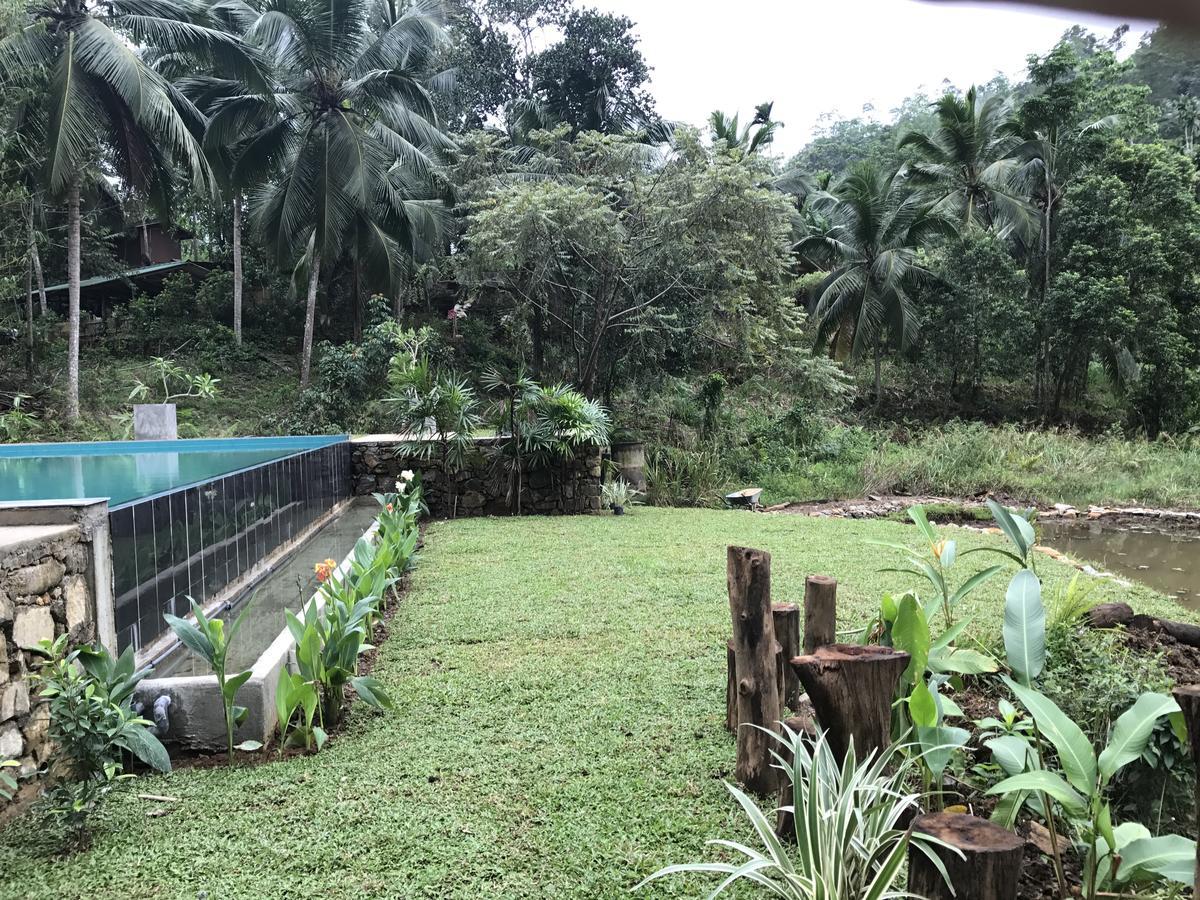 Explore Sinharaja Rain Forest Tour Camp Dombagoda Екстер'єр фото