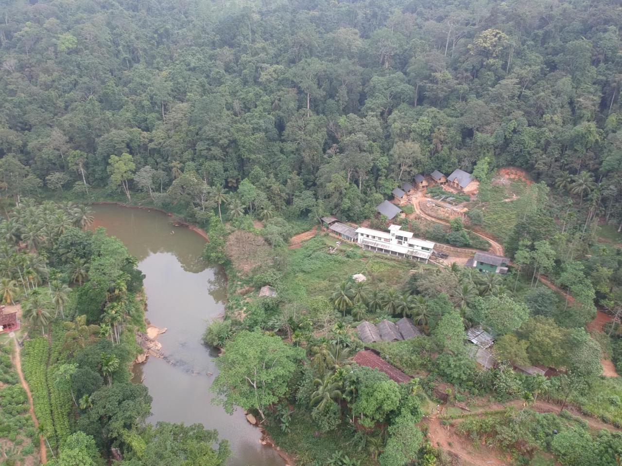Explore Sinharaja Rain Forest Tour Camp Dombagoda Екстер'єр фото